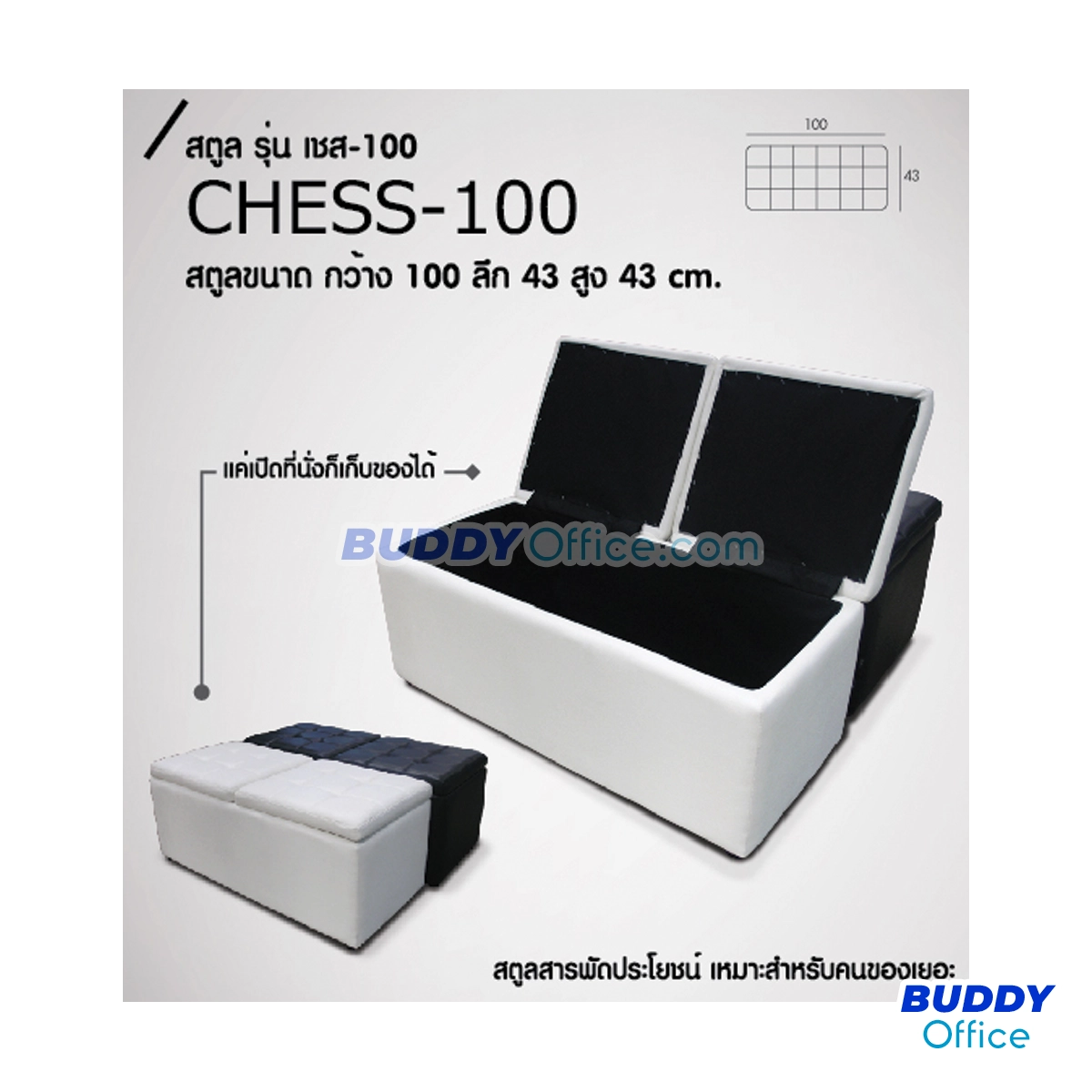 สตูล 2 ที่นั่ง ใต้ที่นั่งมีช่องเก็บของ CHESS-100